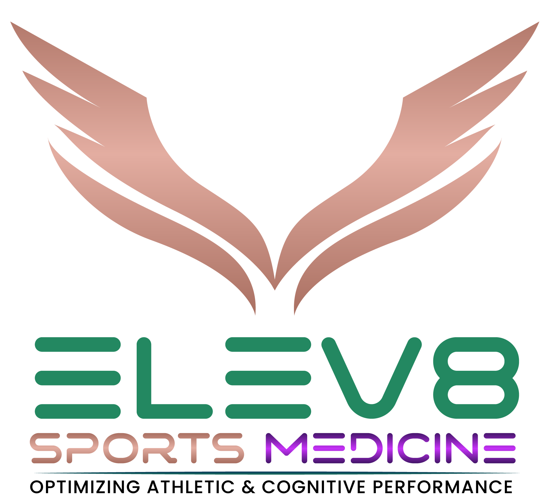 Elev8 Sports Medicine